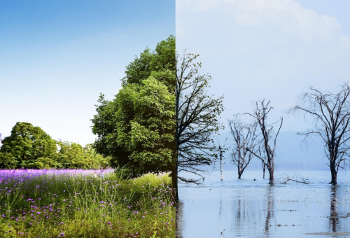 The Environmental Impact of Switching from Photo Shoots to CGI